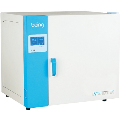 BEING 恒温培养箱-自然对流 BI-55T(1台入) CC-4108-02 BI-55T