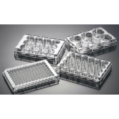 JETBIOFIL洁特 JETBIO细胞培养板 TCP001024(1块盒，100块箱) CC-4086-04 TCP001024