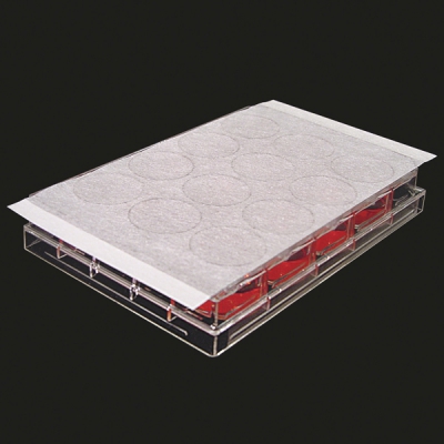 Excel Scientific 透气型封板膜 BS-25 1盒(50张) 3-9125-02 BS-25