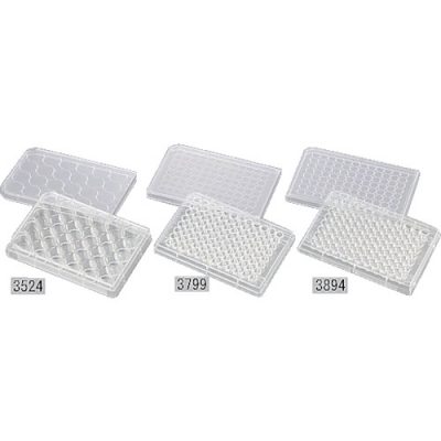 ASONE 亚速旺 22065-07-AS多层板3524（100张装）